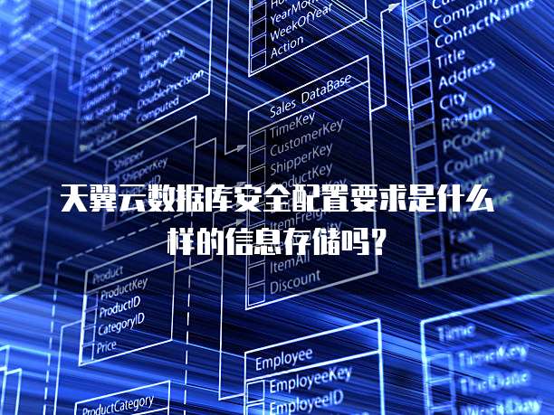 天翼云数据库安全配置要求是什么样的信息存储吗?
