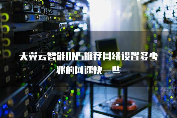 天翼云智能DNS推荐网络设置多少兆的网速快一些