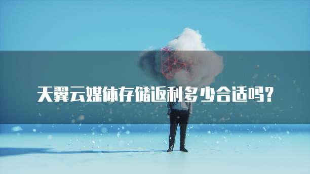 天翼云媒体存储返利多少合适吗？