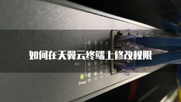 如何在天翼云终端上修改权限