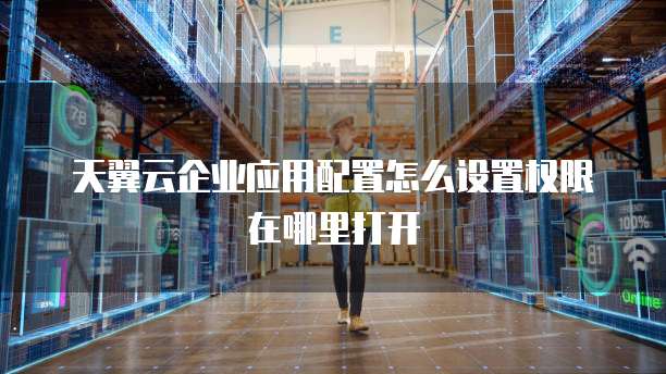 天翼云企业应用配置怎么设置权限在哪里打开