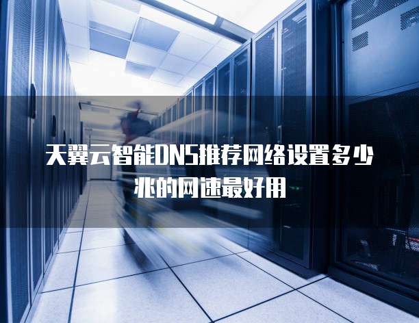 天翼云智能DNS推荐网络设置多少兆的网速最好用