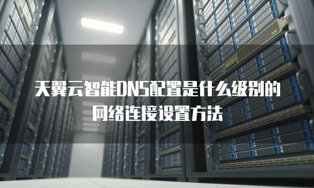 天翼云智能DNS配置是什么级别的网络连接设置方法