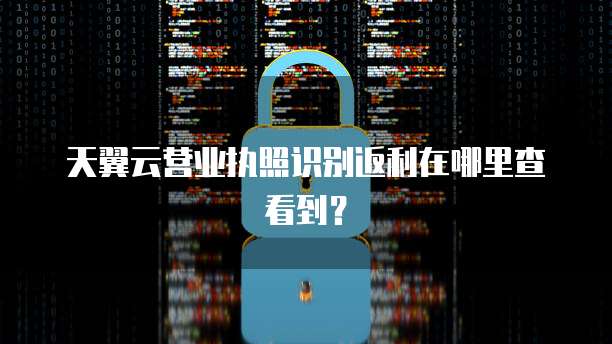 天翼云营业执照识别返利在哪里查看到?