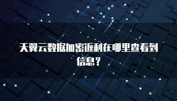 天翼云数据加密返利在哪里查看到信息?