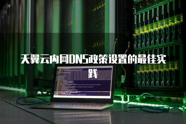 天翼云内网DNS政策设置的最佳实践