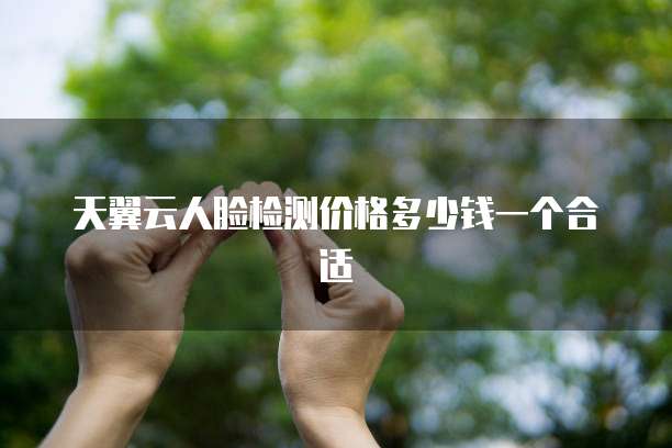 天翼云人脸检测价格多少钱一个合适