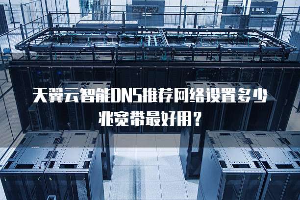 天翼云智能DNS推荐网络设置多少兆宽带最好用?