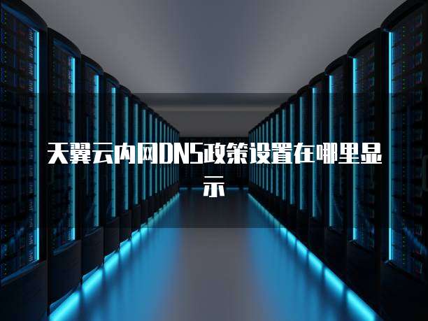 天翼云内网DNS政策设置在哪里显示
