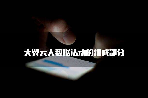 天翼云大数据活动的组成部分