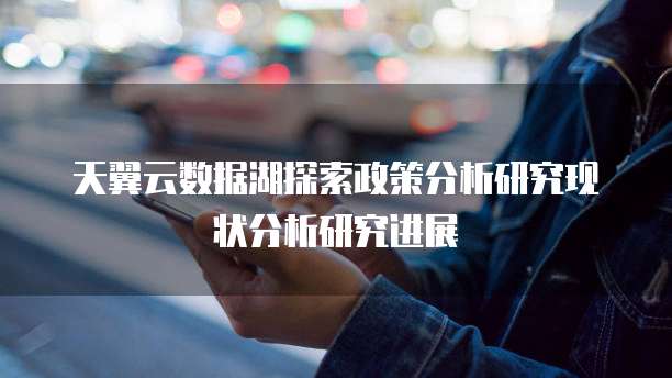 天翼云数据湖探索政策分析研究现状分析研究进展
