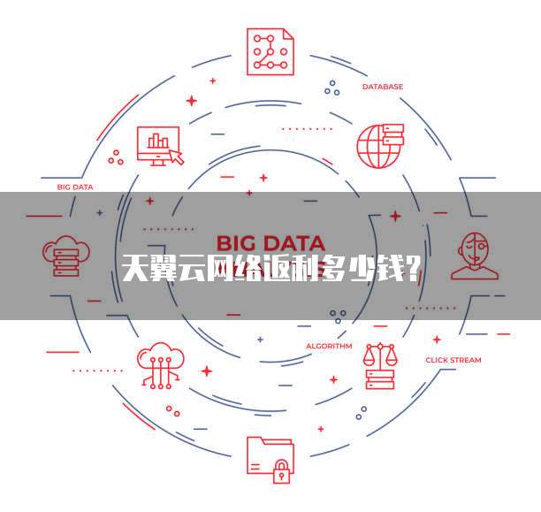 天翼云网络返利多少钱?