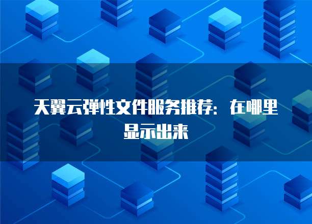 天翼云弹性文件服务推荐：在哪里显示出来