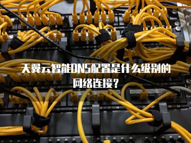 天翼云智能DNS配置是什么级别的网络连接？