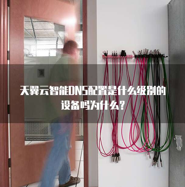 天翼云智能DNS配置是什么级别的设备吗为什么？