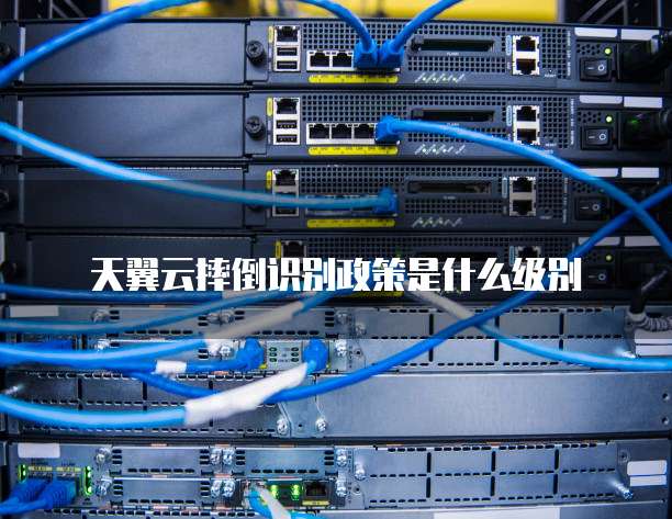 天翼云摔倒识别政策是什么级别