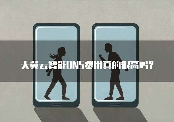 天翼云智能DNS费用真的很高吗?
