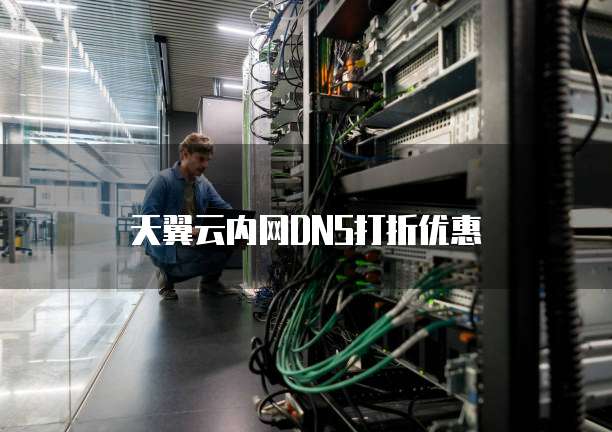 天翼云内网DNS打折优惠