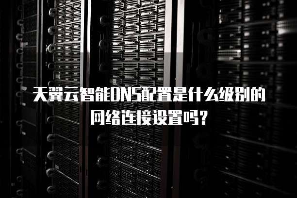 天翼云智能DNS配置是什么级别的网络连接设置吗?