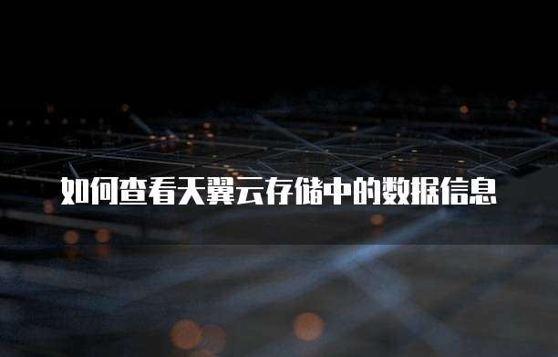 如何查看天翼云存储中的数据信息