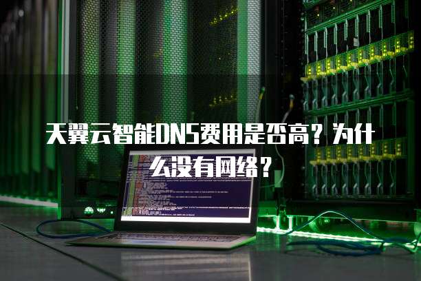天翼云智能DNS费用是否高?为什么没有网络?
