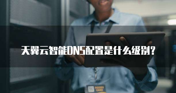 天翼云智能DNS配置是什么级别?