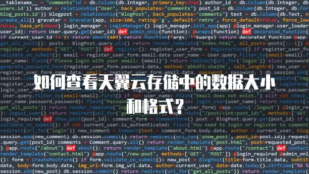 如何查看天翼云存储中的数据大小和格式?