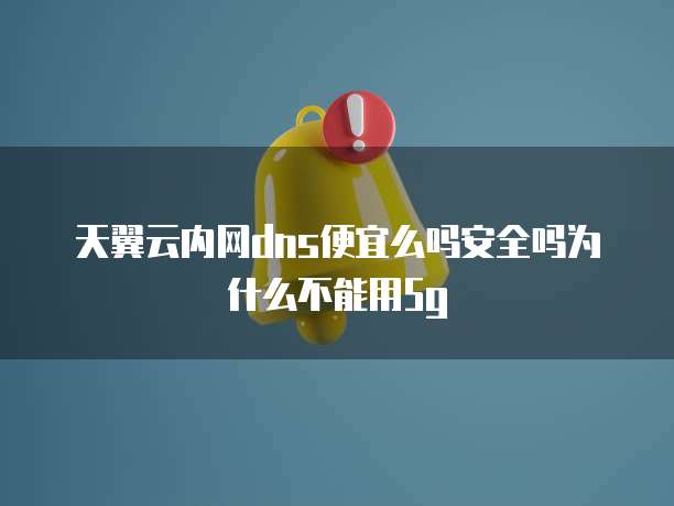 天翼云内网dns便宜么吗安全吗为什么不能用5g