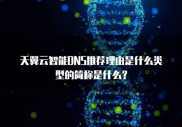 天翼云智能DNS推荐理由是什么类型的简称是什么？