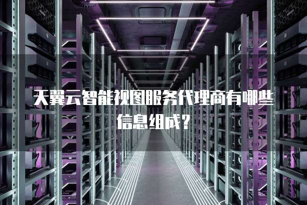天翼云智能视图服务代理商有哪些信息组成?