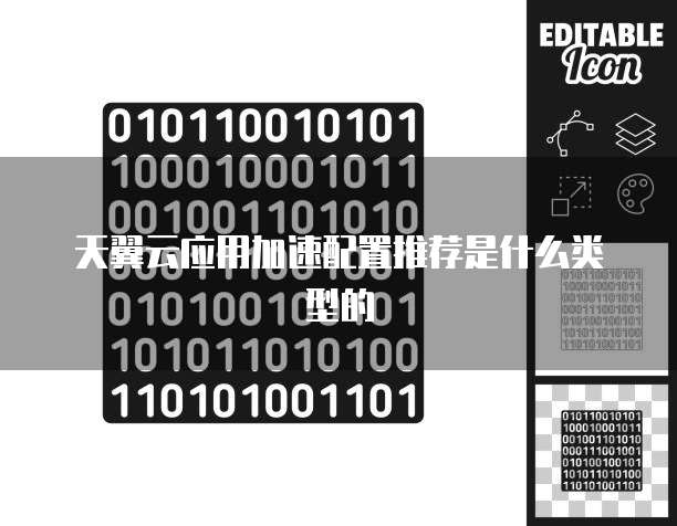 天翼云应用加速配置推荐是什么类型的