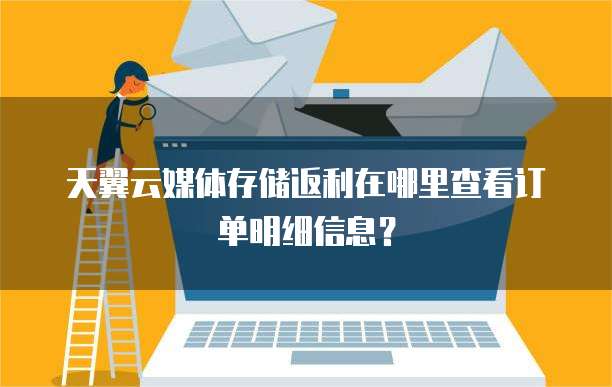 天翼云媒体存储返利在哪里查看订单明细信息?