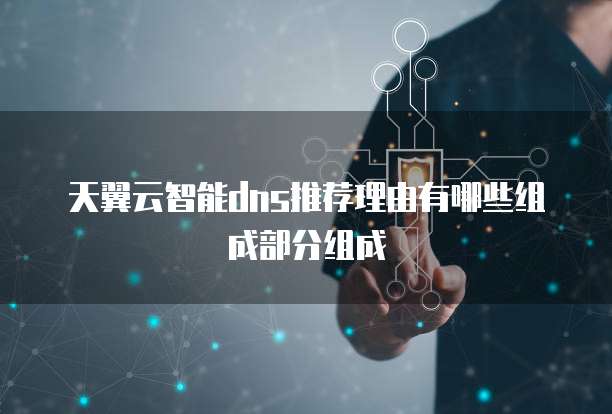 天翼云智能dns推荐理由有哪些组成部分组成