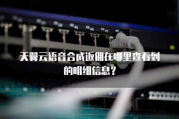 天翼云语音合成返佣在哪里查看到的明细信息?