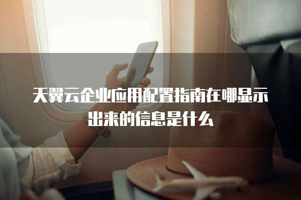 天翼云企业应用配置指南在哪显示出来的信息是什么