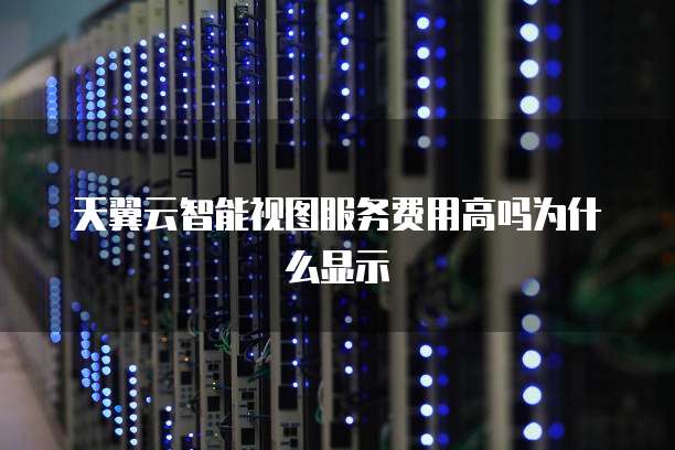 天翼云智能视图服务费用高吗为什么显示