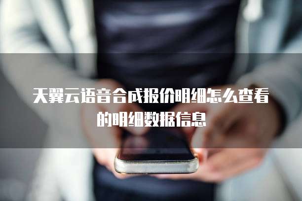 天翼云语音合成报价明细怎么查看的明细数据信息