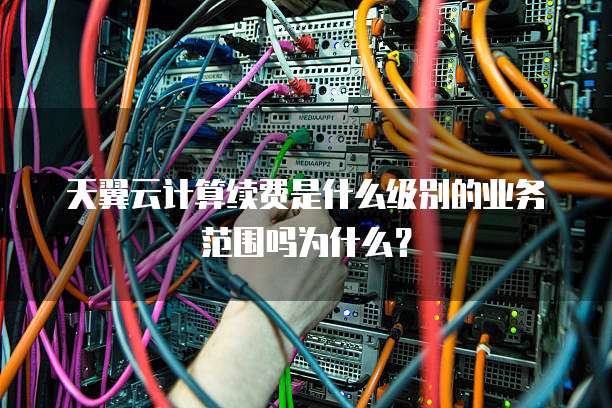 天翼云计算续费是什么级别的业务范围吗为什么？