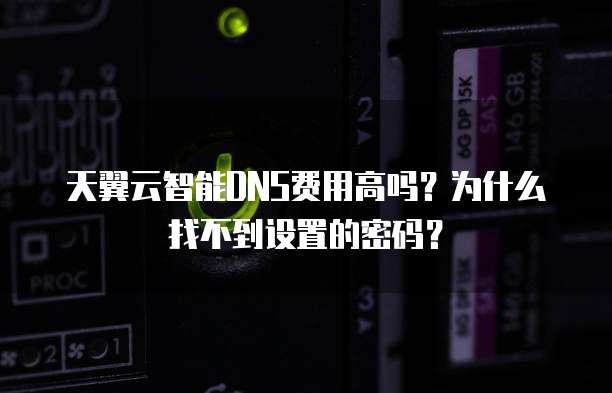 天翼云智能DNS费用高吗?为什么找不到设置的密码?