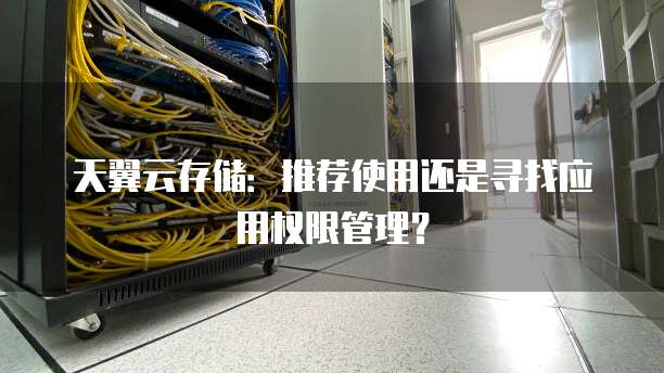 天翼云存储:推荐使用还是寻找应用权限管理?