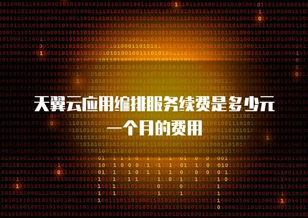 天翼云应用编排服务续费是多少元一个月的费用
