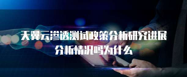 天翼云渗透测试政策分析研究进展分析情况吗为什么