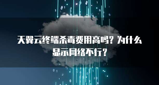 天翼云终端杀毒费用高吗?为什么显示网络不行?