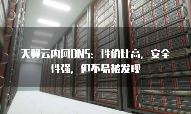 天翼云内网DNS:性价比高,安全性强,但不易被发现