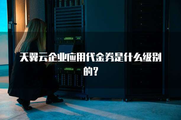 天翼云企业应用代金券是什么级别的?