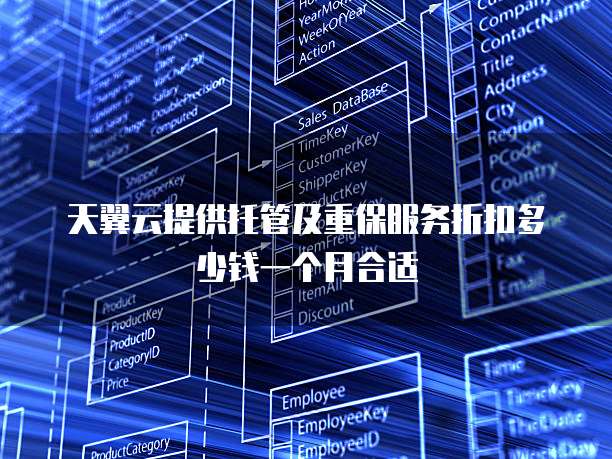 天翼云提供托管及重保服务折扣多少钱一个月合适