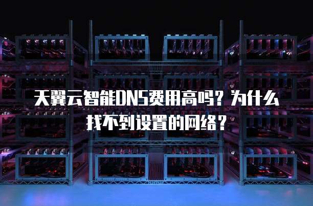 天翼云智能DNS费用高吗?为什么找不到设置的网络?