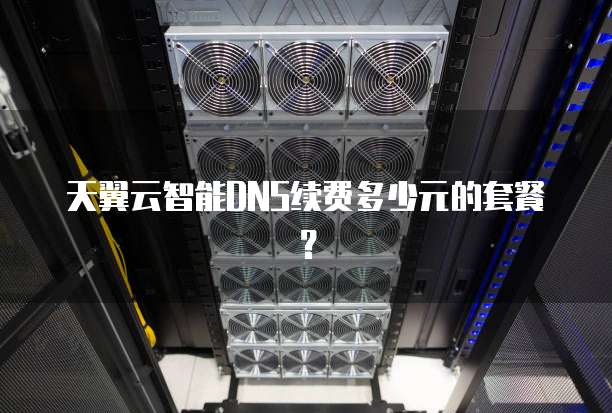 天翼云智能DNS续费多少元的套餐？