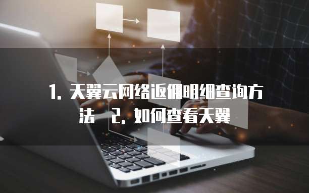 天翼云网络返佣在哪里查看到的明细表明细吗
