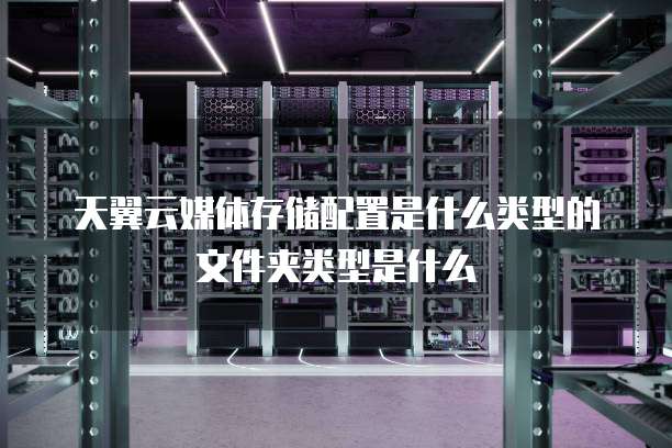 天翼云媒体存储配置是什么类型的文件夹类型是什么